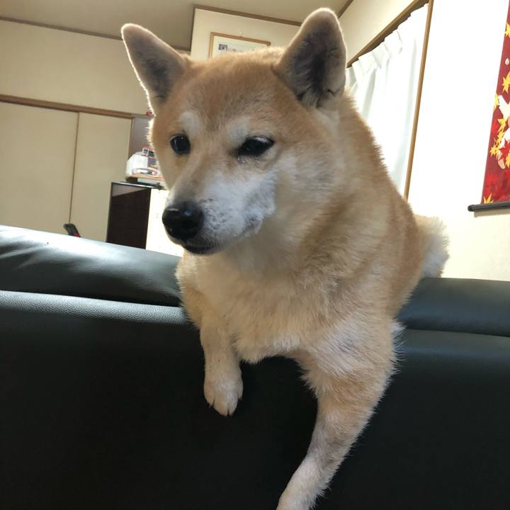 A8e1a634 bb74 4e99 b3fa 586c19250968 1575891846740