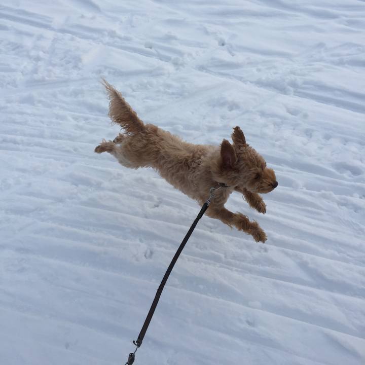 A8e1d4b2 f031 4621 b9b6 549a64a006d2 1514186142573