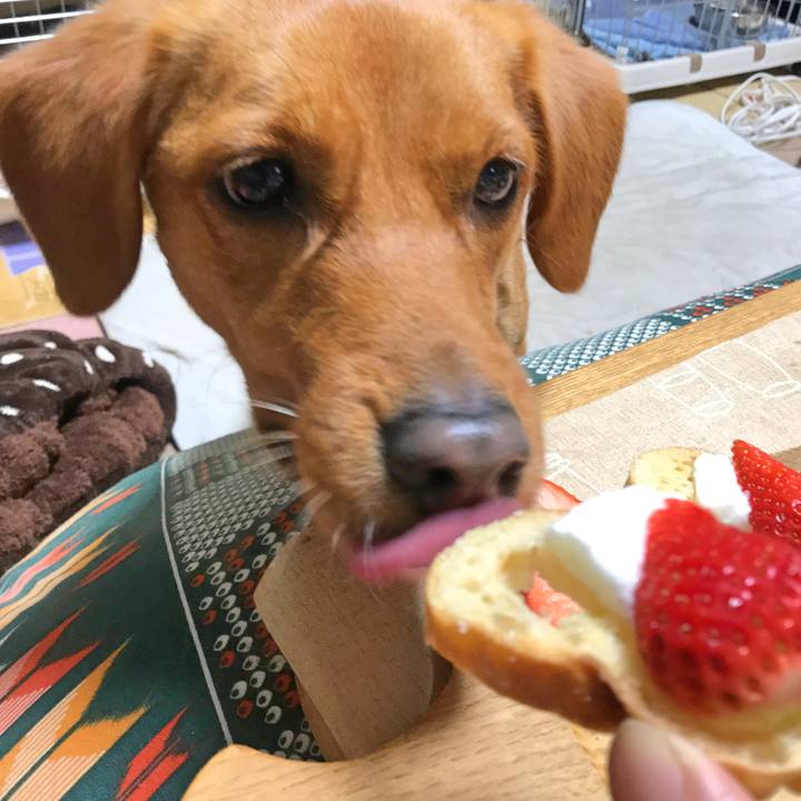 A8e1e41d c535 4445 b642 e35ddebb07a0 1518604734326