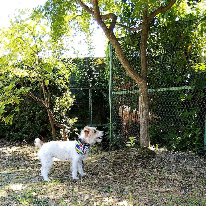 A8e25158 d01f 4616 aeb5 d03360660147 1565403468457