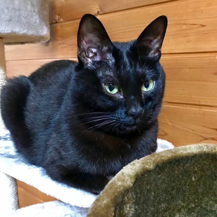 A8e271b6 9bf6 4aa2 aad0 fadafc26f9ff 1518683755751