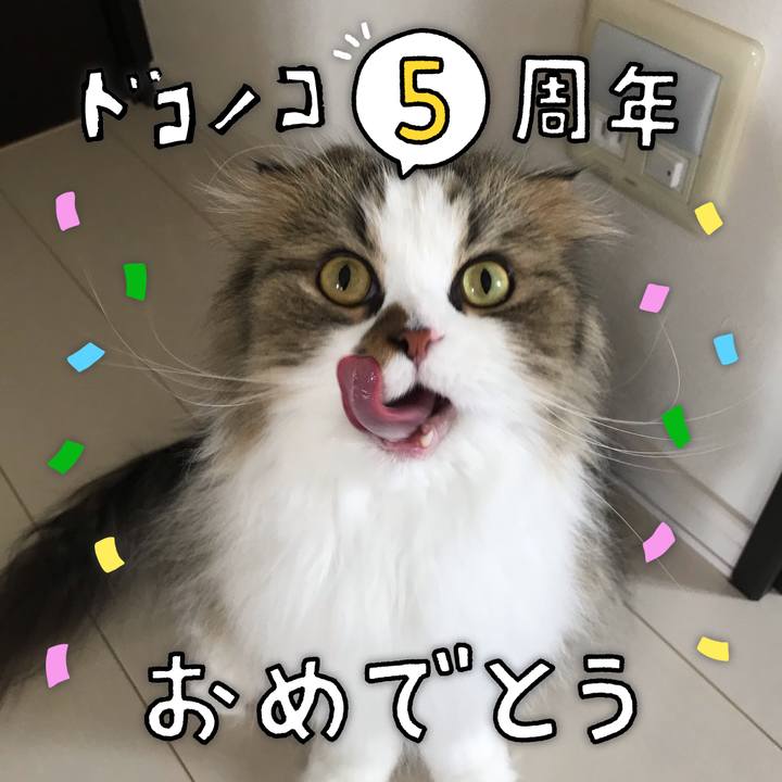 A8e27502 d609 48bd b0d5 42e394a4a7ab 1622859052174