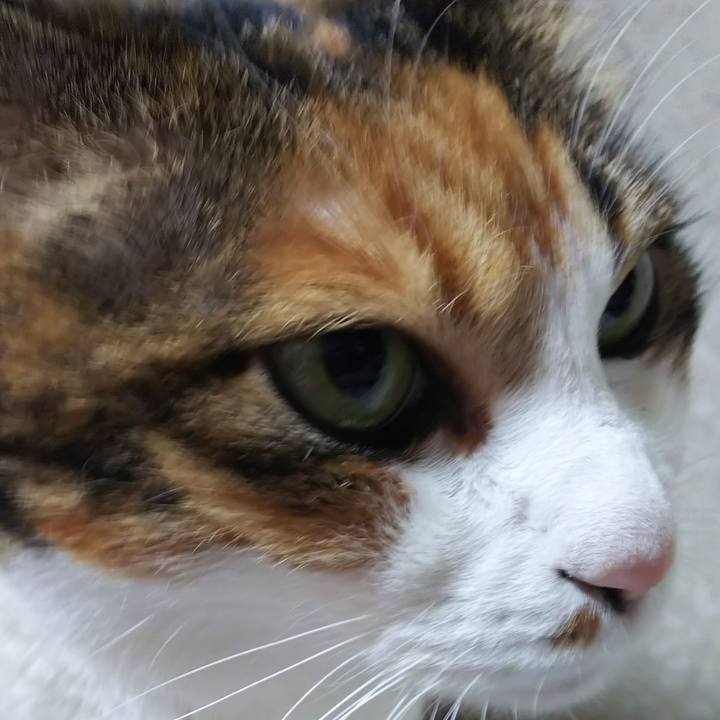 A8e2cf8c eea1 4ce0 a0b6 e1e5aed26580 1575496136791