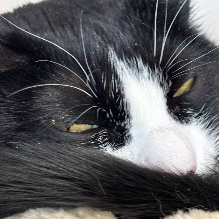 A8e2dce0 567e 4d52 8e00 e722740e380a 1772849246887