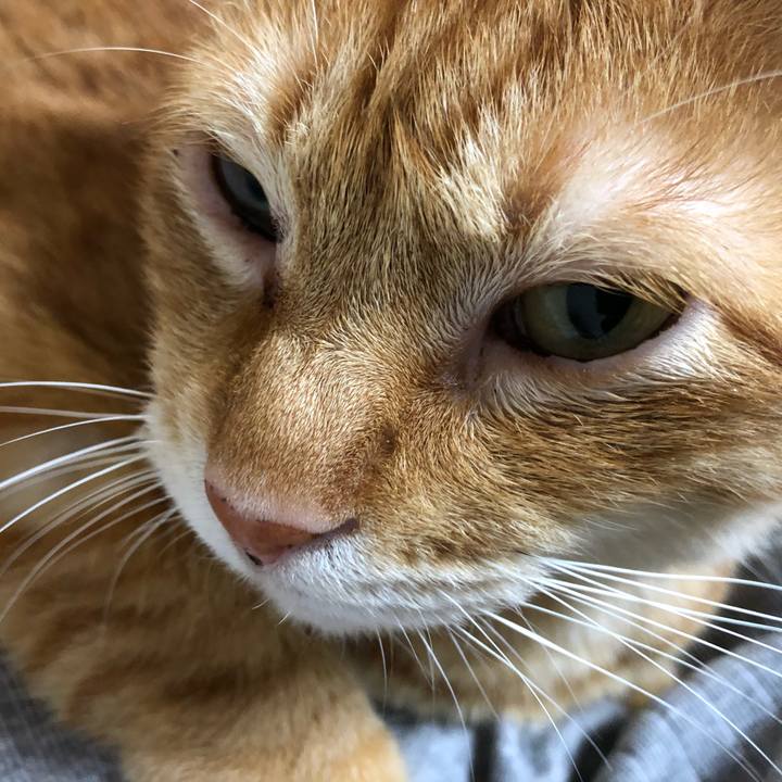 A8e2f731 3e60 4e91 841d e0560a469a6f 1595020998293