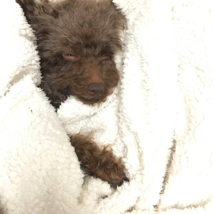 A8e35b3a c690 4c85 8d33 c472e5361b76 1554411684004