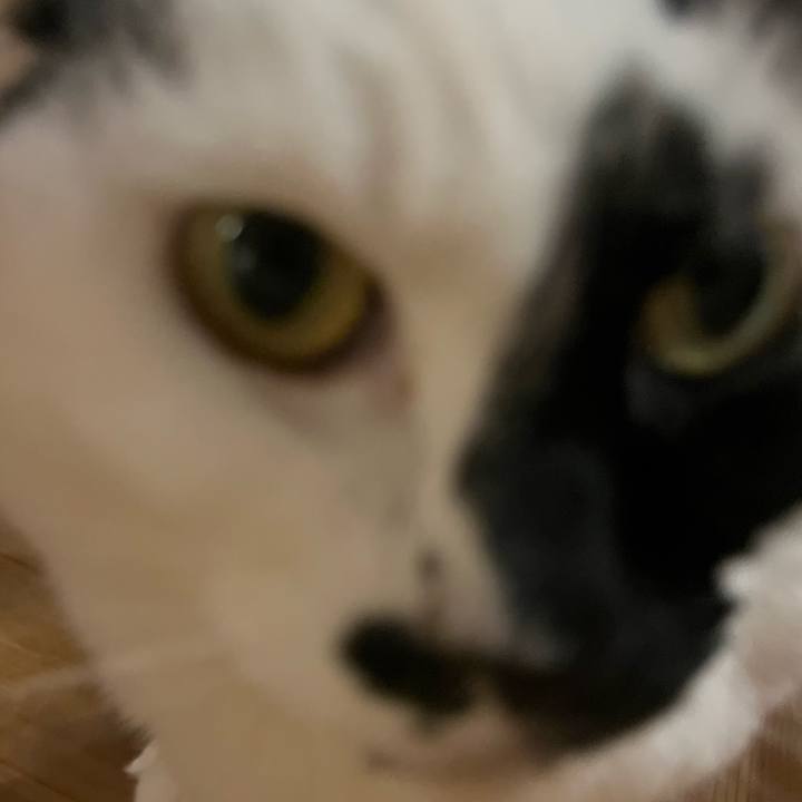 A8e36fab cc7c 41eb 898c 4bcab13b4adf 1757684314553