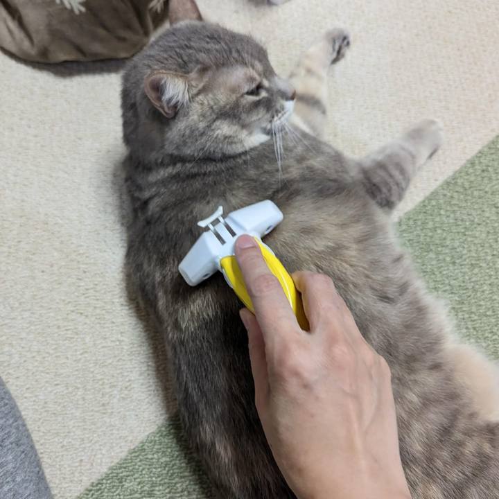 A8e38fda 6b24 4aae 86b7 205e12744fba 1701502598513