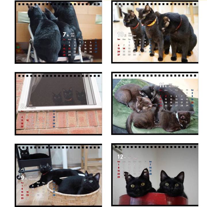 A8e3b611 8866 45e8 b0f3 fc35d3828adf 1540624535098