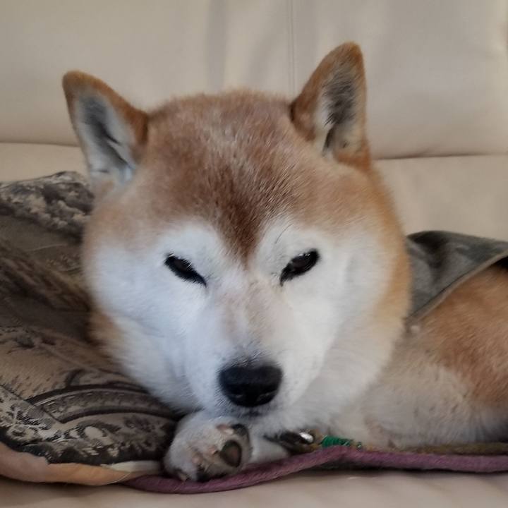 A8e3c3c0 2d4c 439e 9ad7 0ca86f0fa9ec 1679699388174