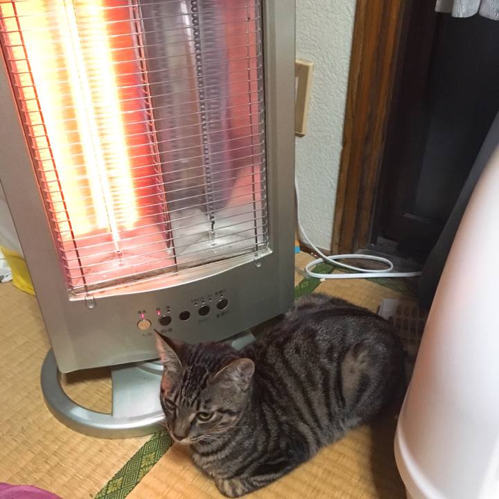 A8e3e316 1ca3 48d9 9dd1 3a69078fa288 1542201272707