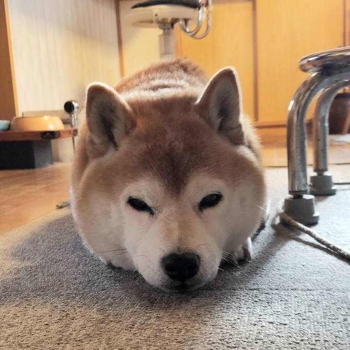 A8e3ea96 f041 41f4 9b43 16bf62d61f4a 1668208495471