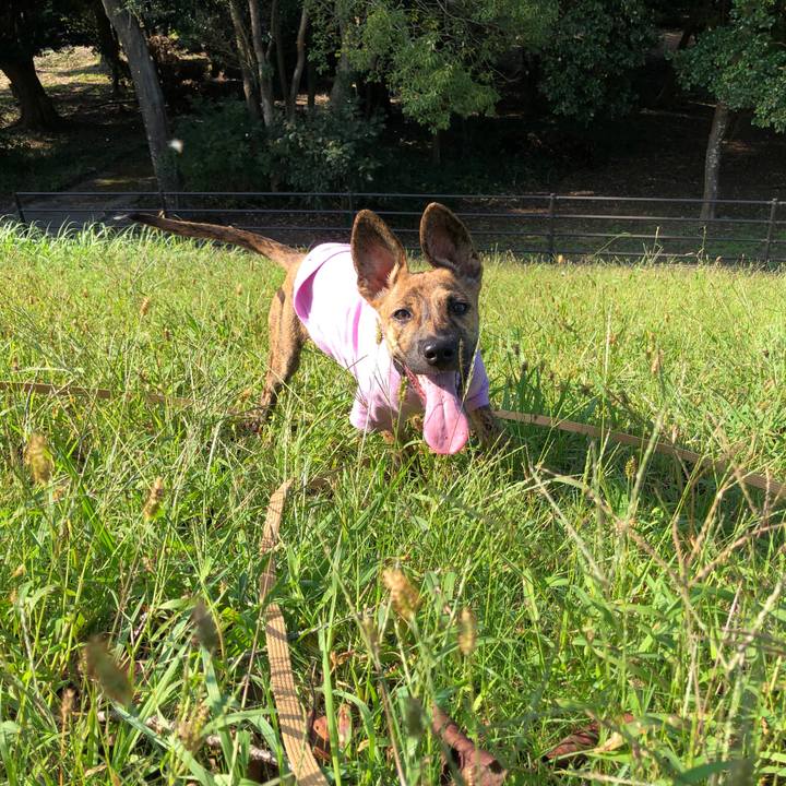 A8e406ab 8e24 4a9e 9c35 75c5a385abb6 1571744641192