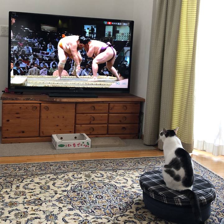 A8e42d14 fc9d 483a ab66 38d52091ecf1 1632295375752