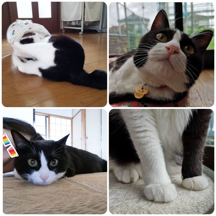 A8e43fe9 7d8e 43ec a459 d1b61c320cba 1563610384497