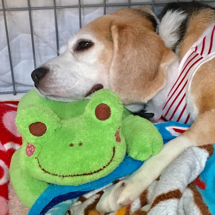 A8e44868 2d5f 4986 9f5c 817781e21d80 1555903940670