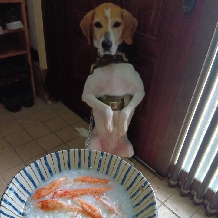 A8e464b1 ee9f 4c53 ad49 e6f2eb0bb094 1715396056909