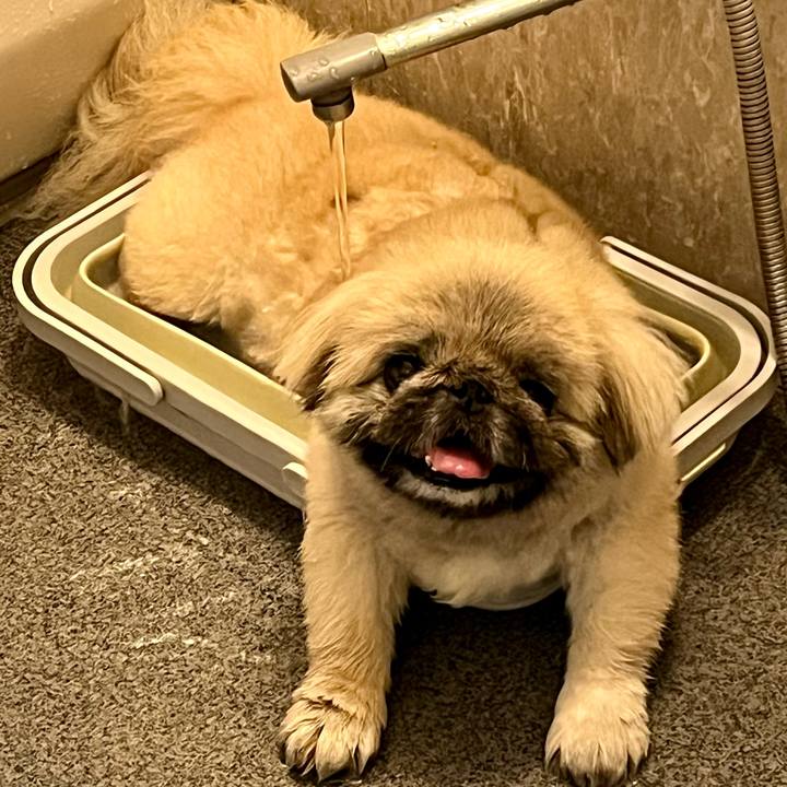 A8e4674f 8367 4f3b affa b20306499a4f 1753231109107