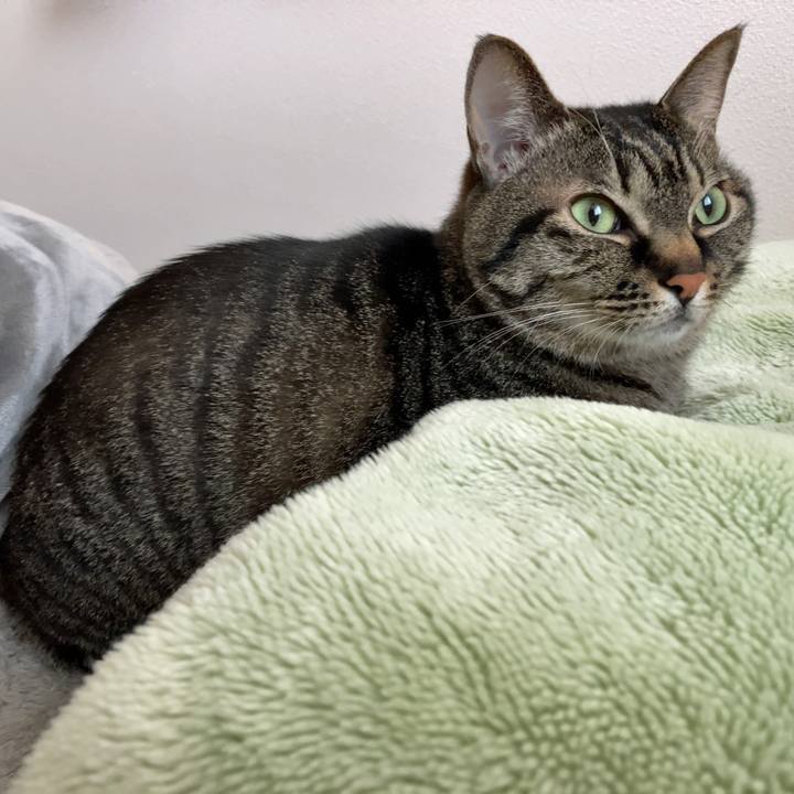 A8e4890d f543 45ff b59e c0341f8df018 1613875282986