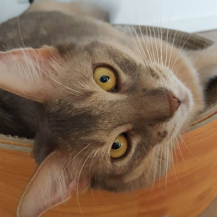 A8e48a07 f26a 418f 91ad c59f4376f6c9 1573893425556