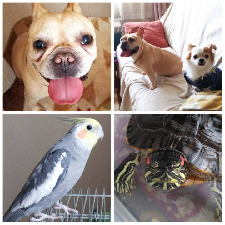 A8e49548 c9d8 4c20 a440 acfd16f4bcad 1537607803778