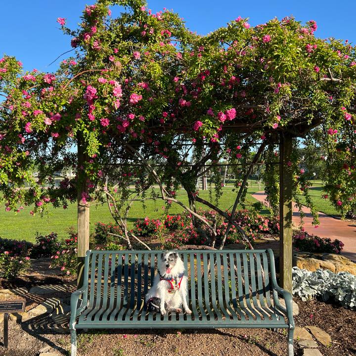 A8e4b2fa c0c9 4522 bb36 54b3cdcb4d4a 1712181229151