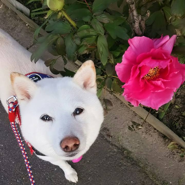 A8e4c5d8 f425 4aa1 b3cb 947859a85c6c 1620120552792