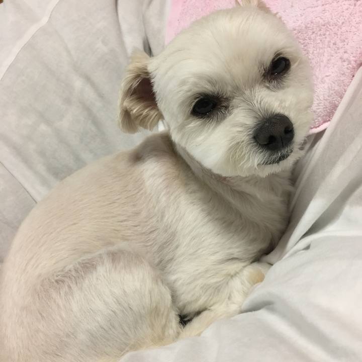 A8e4e15c b4db 4b71 b882 a2f9e1cddf1f 1524564024706