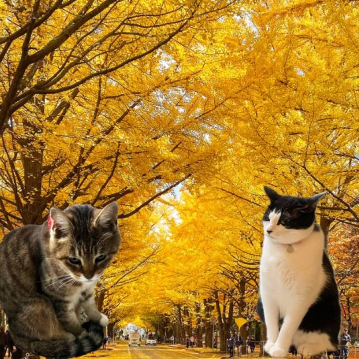 A8e502a2 13cb 4d7e bc5f ae0d2d3fa6ca 1731281698030