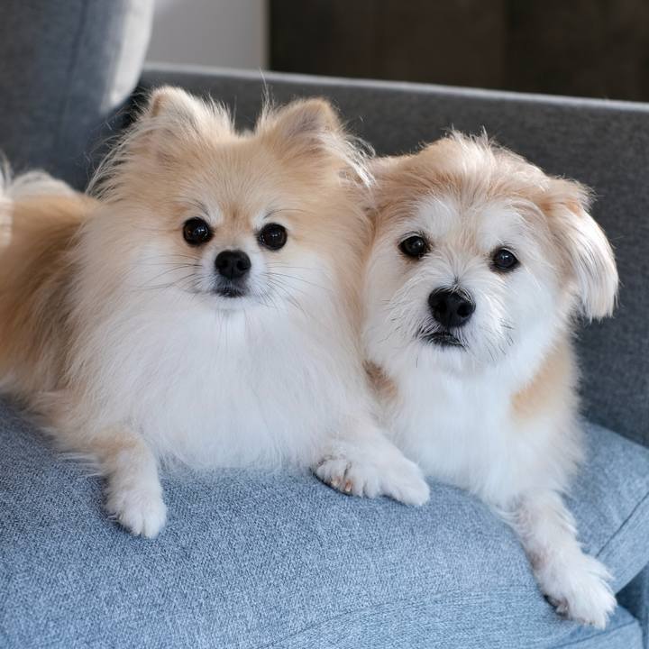 A8e5248b c646 473a b621 bf1051e2cbcb 1757111142397