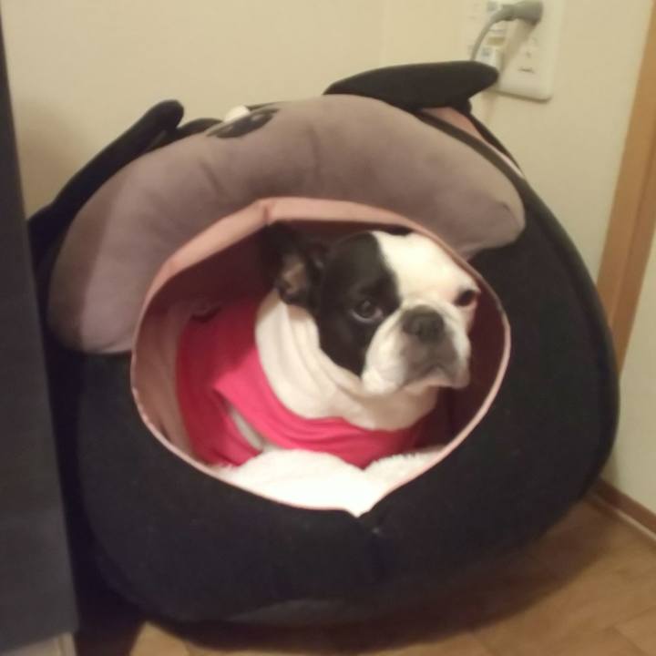 A8e5349a 0d66 4245 9e57 3363434d2fe4 1586988473640