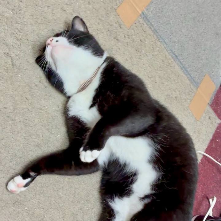 A8e53969 43ca 4066 896b ad9ead6d4405 1749523469085