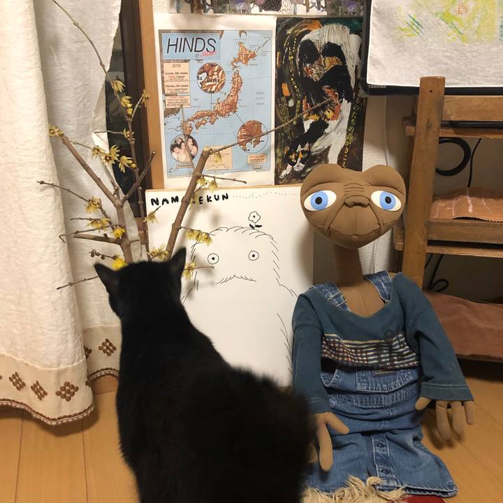 A8e59e6e 0a32 4f6d a7c9 4c35474de572 1546949166616