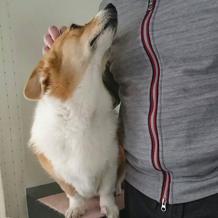 A8e5fd5e 4171 46c6 ad24 46967eefb440 1521258173349