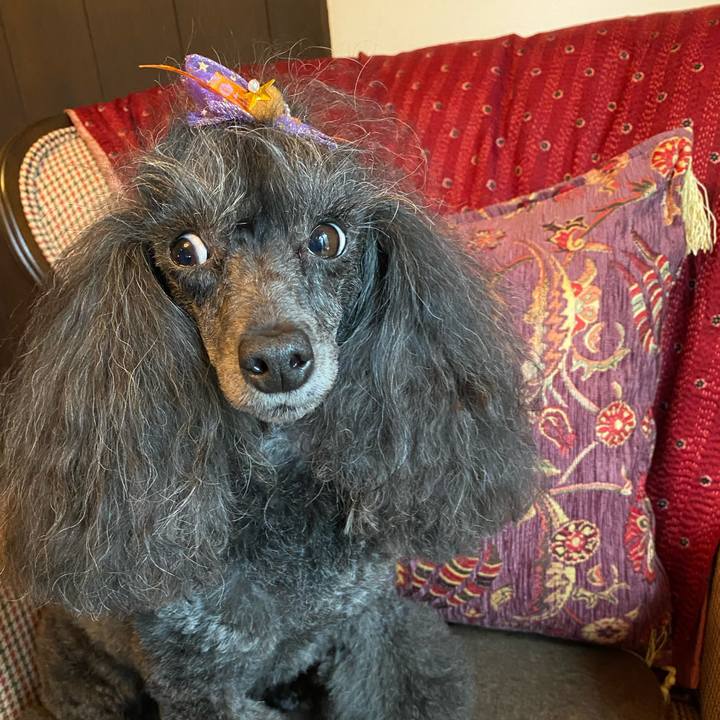 A8e610b4 978d 4ad3 b026 3b247b7a6de9 1696479425668