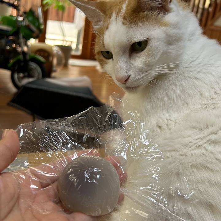 A8e643d1 9abd 4769 9319 6bf8f0a4e4b7 1685768715162