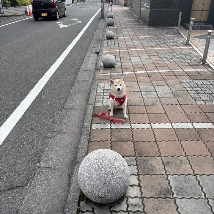 A8e673d6 023f 4b8c b302 09044d02ecce 1761533199429