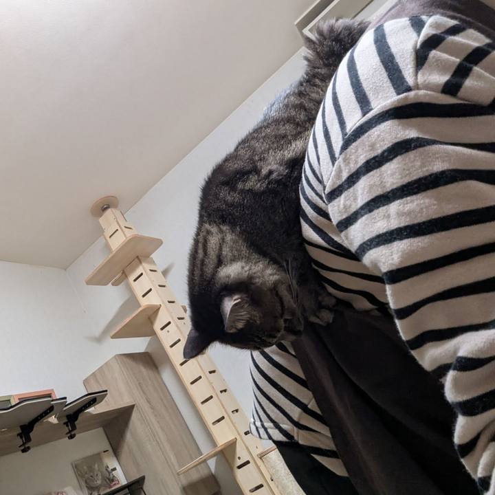 A8e67608 729f 4020 8dba 6f89ae7bafb9 1769004765220