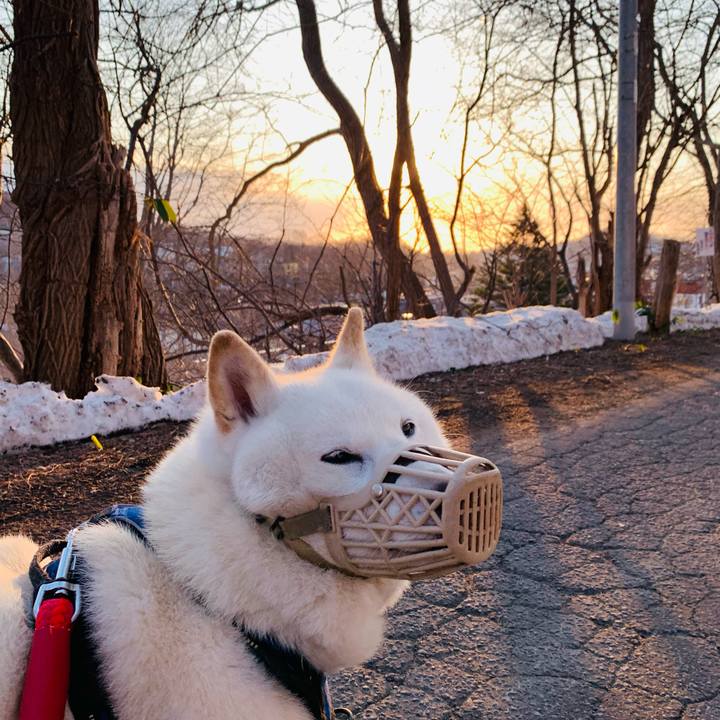 A8e67fba 4499 40c7 a6de 6e2de821206a 1649282170216