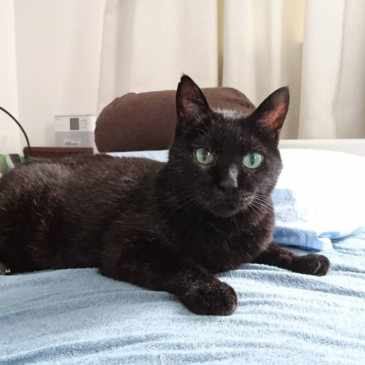 A8e68120 1b79 4146 a956 32fcda252b03 1596690723249