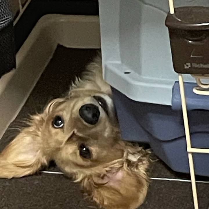 A8e68cc1 d5aa 438e a989 ff333e5f1c16 1684502477593