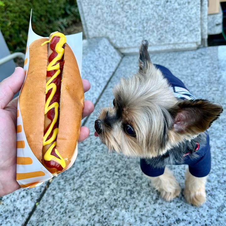 A8e6a731 04e9 466f 855b ef923b55659f 1667723758059