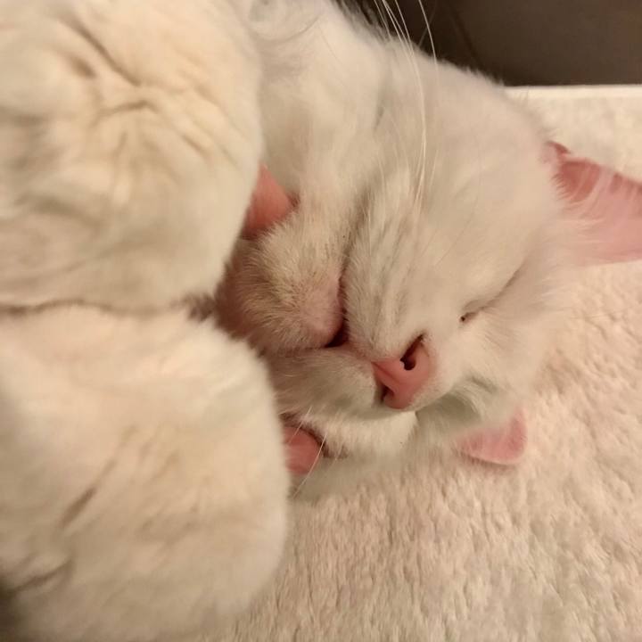 A8e6d377 9058 4beb 9b80 67e2fb8618cc 1559557630666