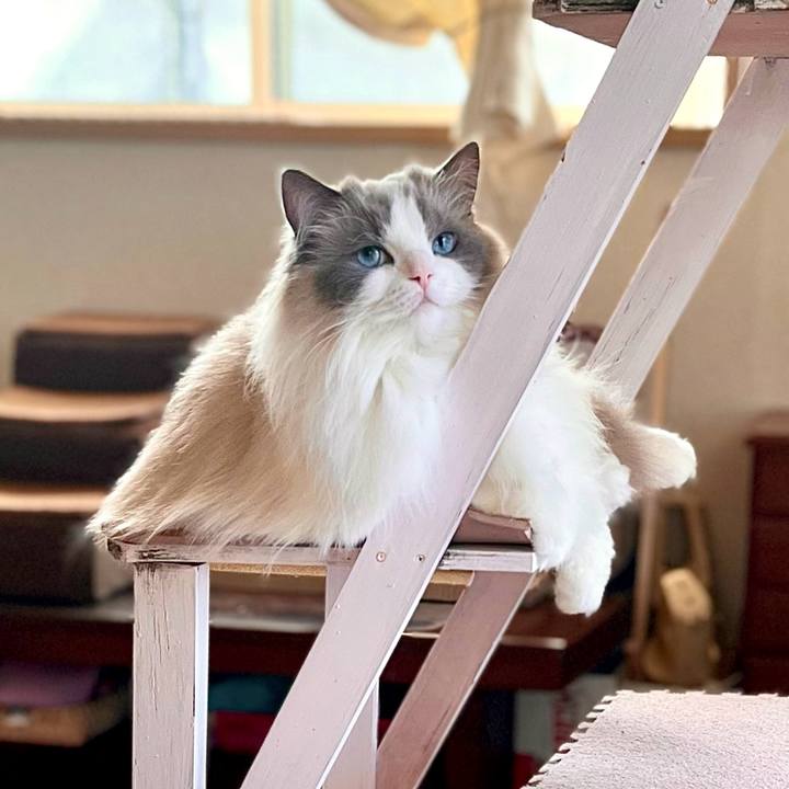 A8e6e37b b3e8 4e92 a02b c1b611106f83 1758725356966