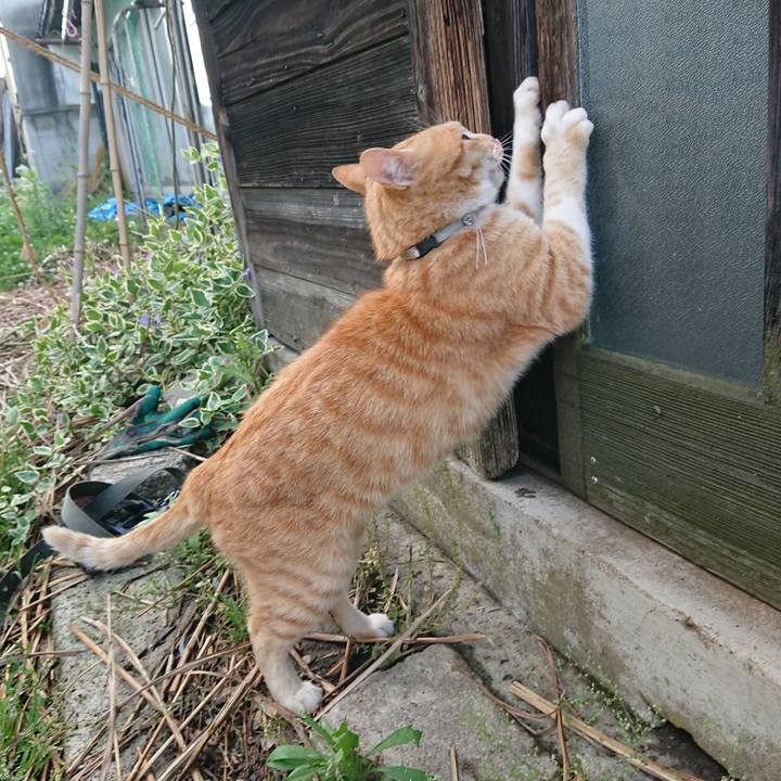 A8e6f5d3 a9ed 4a57 ab81 17e9c06e9e11 1590222679913