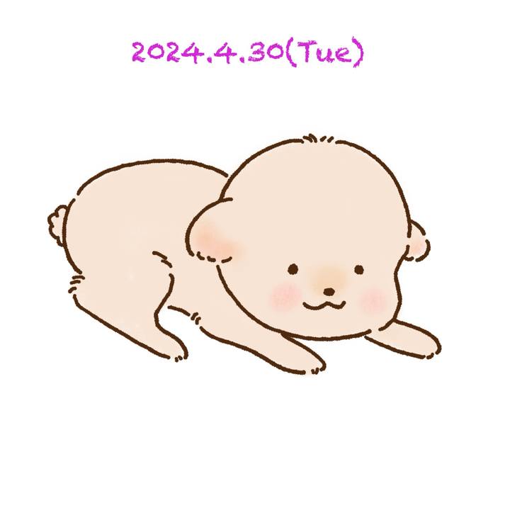 A8e712a8 ceaf 43ad 8d51 2d5f84f7fe99 1714477704110