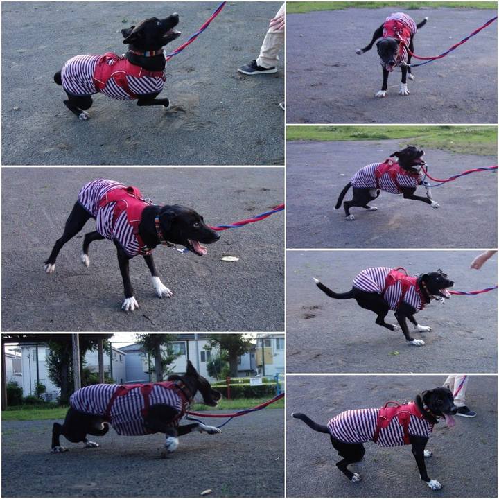 A8e772ae 6bf4 4dc5 b11c 9ad352c995ed 1593688632071