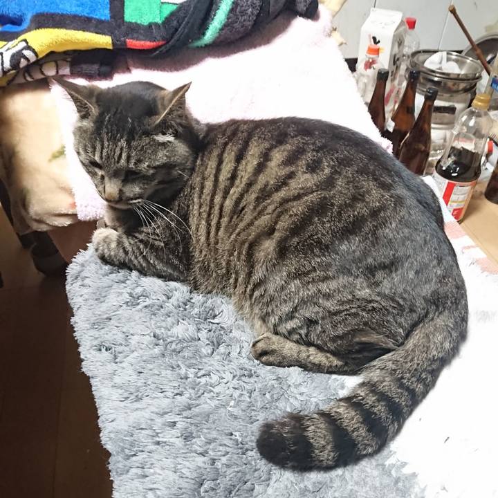 A8e78013 9abe 49e4 ada7 38a35344b1bd 1652964859480