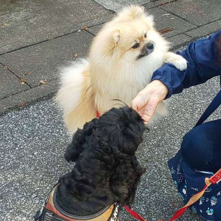 A8e79f05 3166 413b 8c1e 5b92c22117ae 1654672729712