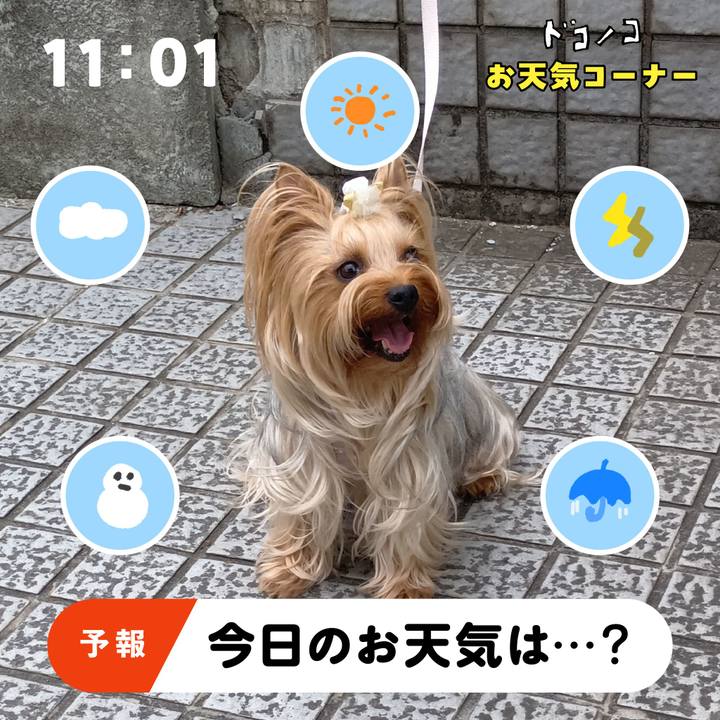 A8e7ab18 9d3a 4b10 8501 6468761c44e7 1781737632305